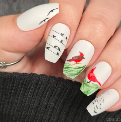 CJSLC-103 Talk Birdie to Me | Clear Jelly Stamping Plate