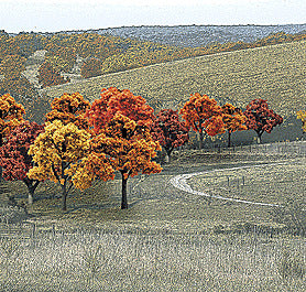 Fall Colors Deciduous Tree Pack Ready Made Trees(tm) -- 3/ 4 To 2" 1.9 To 5.1cm Pkg(38)