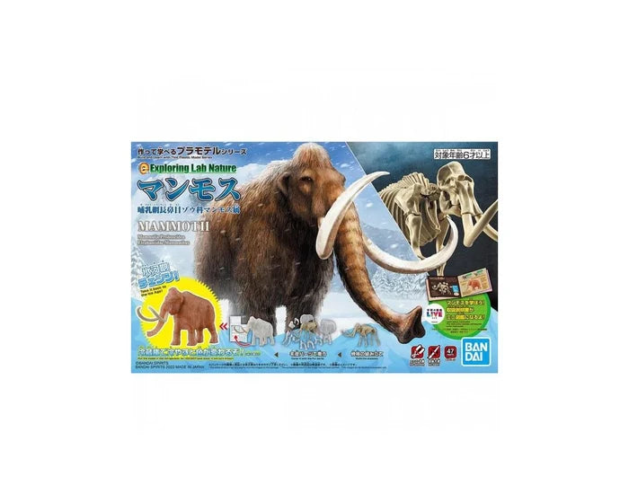 BAS2569522 EXPLORING NATURE MAMMOTH