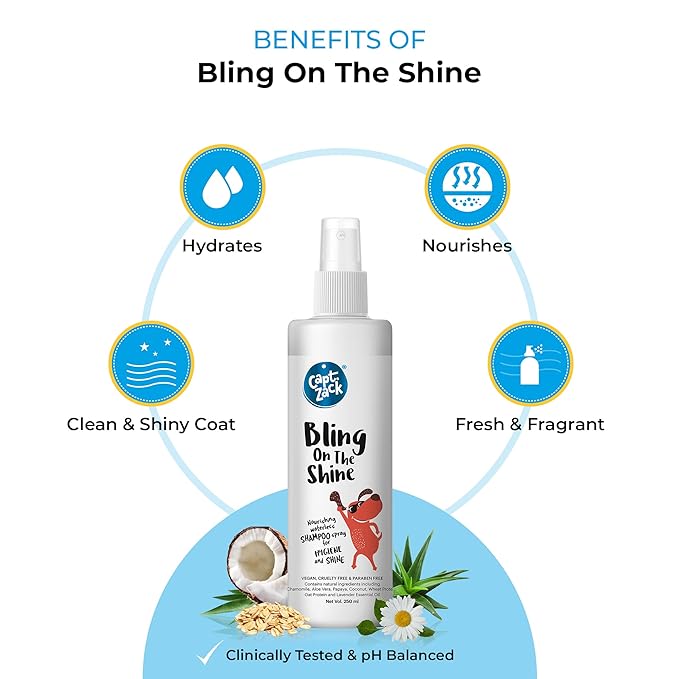 Bling On The Shine Waterless Shampoo 250ml