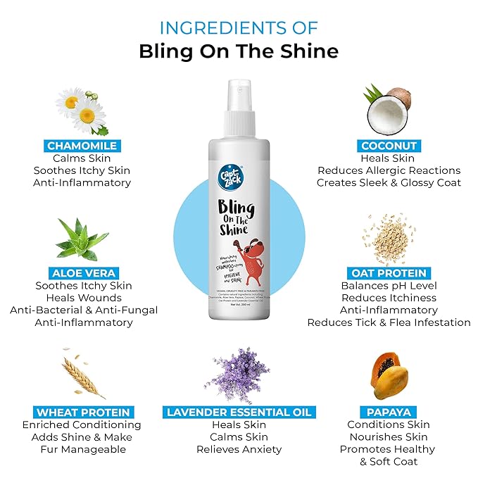 Bling On The Shine Waterless Shampoo 250ml