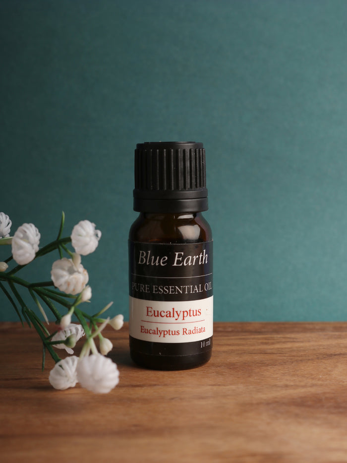 Blue Earth Essential Oil | Eucalyptus-Image 1