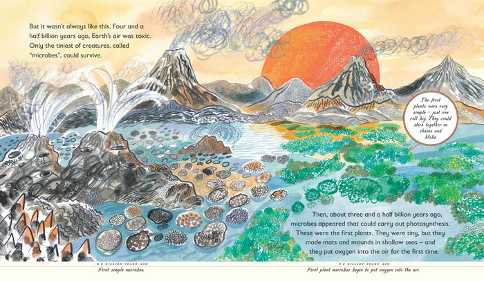 Book - Green: The Story Of Plant Life On Our Planet - Spread 1