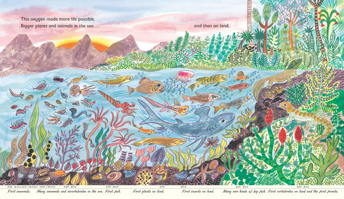 Book - Green: The Story Of Plant Life On Our Planet - Spread 2