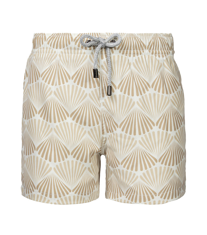 Beige Shells