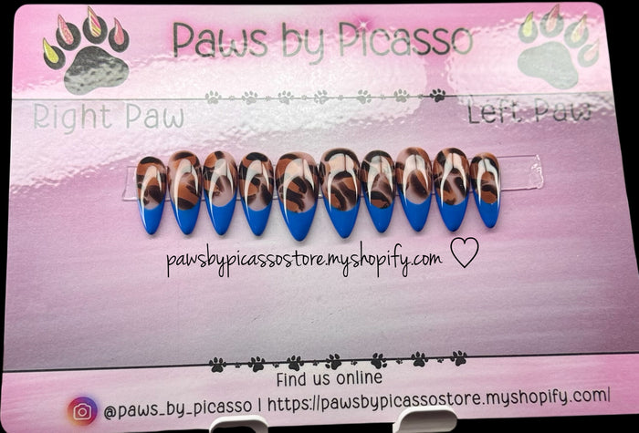 Brown Sugar Blues - Paws By Picasso Brown Sugar Blues