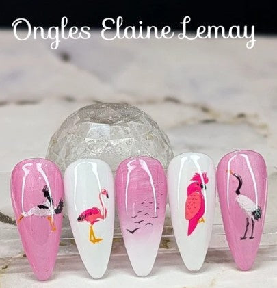 CJSLC-103 Talk Birdie to Me | Clear Jelly Stamping Plate