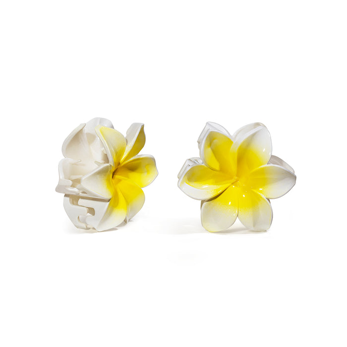 DAFNI KLIX - the flower- white