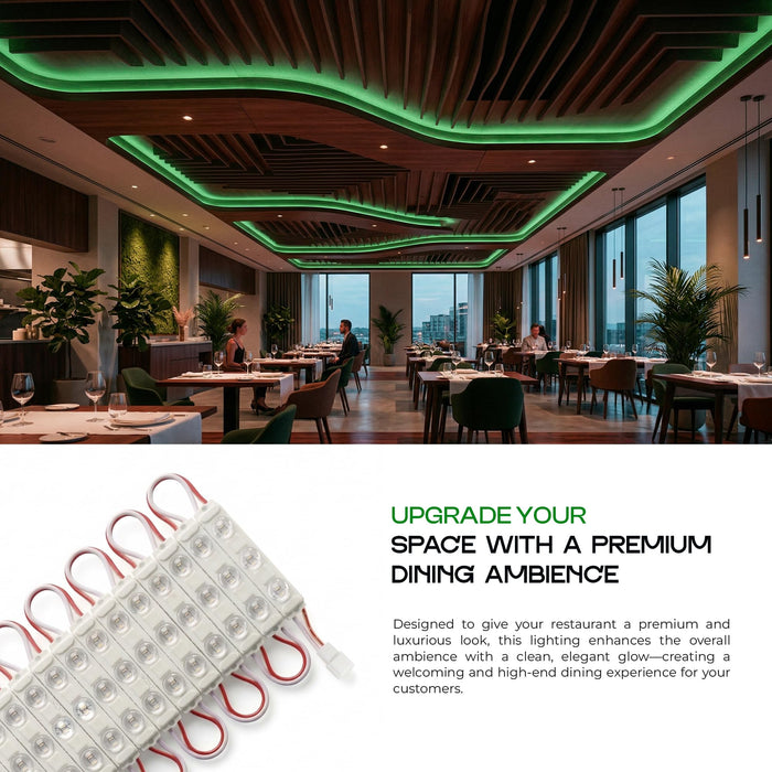 Decorative LED Sign Lighting Module ~6839