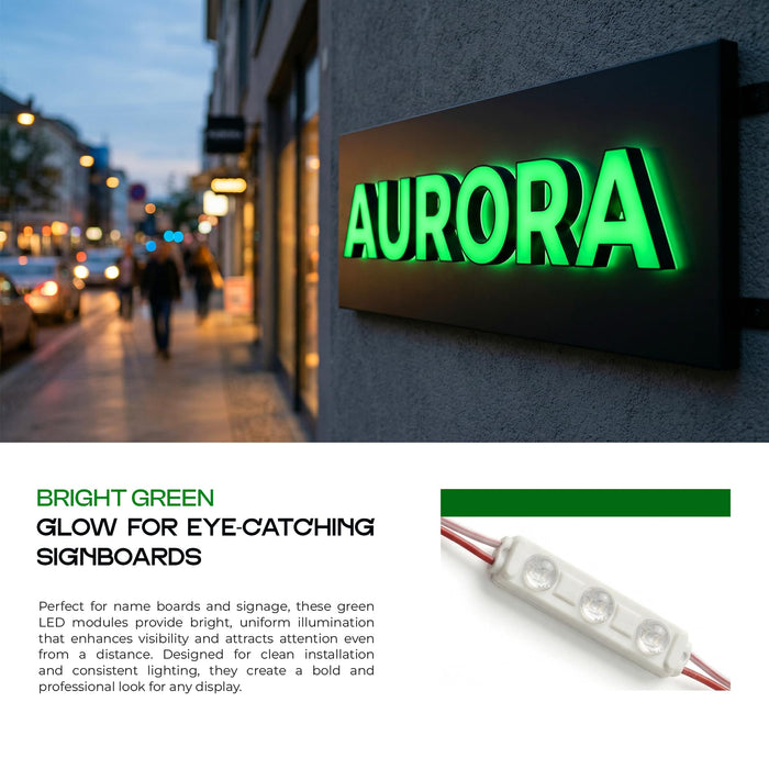 Decorative LED Sign Lighting Module ~6839