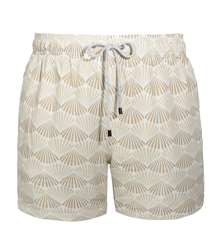 Beige Shells