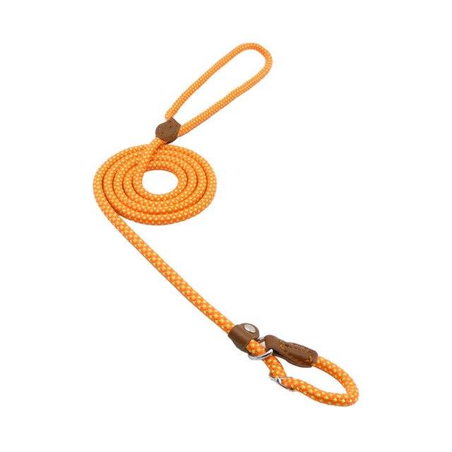 Orange / S
