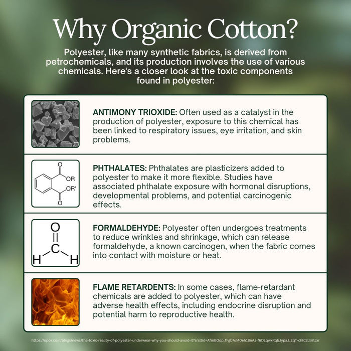 Organic Cotton Boxers (3 pack)