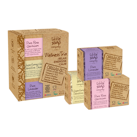 Organic Wellness Trio Gift Pack - 3 x 110g