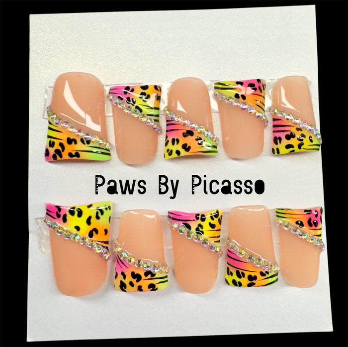 Rad Vibez - Paws By Picasso Rad Vibez