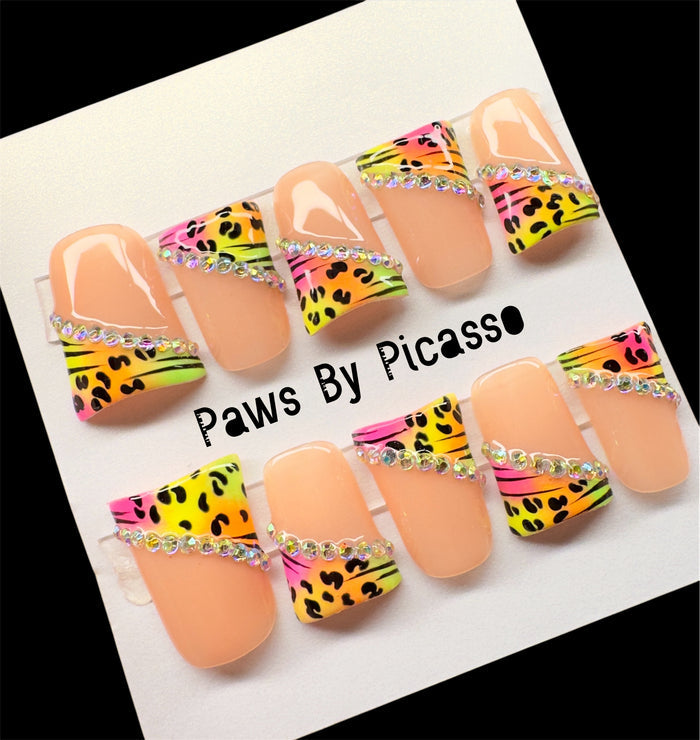 Rad Vibez - Paws By Picasso Rad Vibez