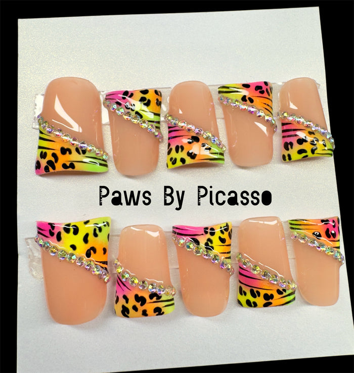 Rad Vibez - Paws By Picasso Rad Vibez
