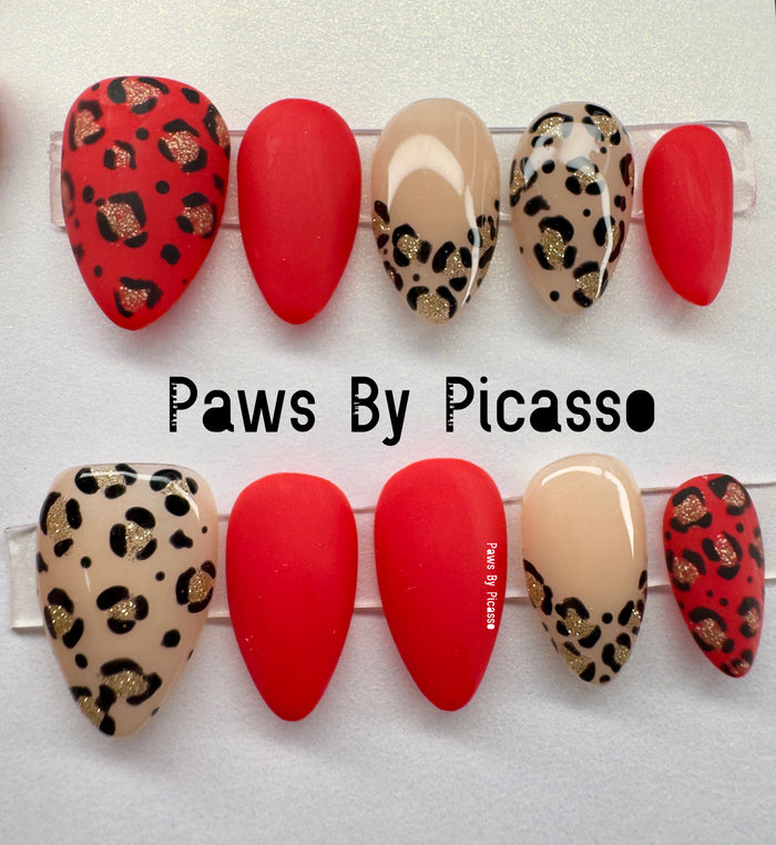 Scarlet Blaze - Paws By Picasso Scarlet Blaze