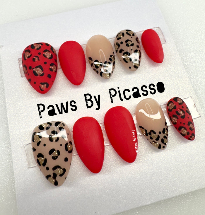 Scarlet Blaze - Paws By Picasso Scarlet Blaze