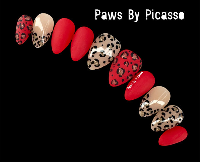 Scarlet Blaze - Paws By Picasso Scarlet Blaze