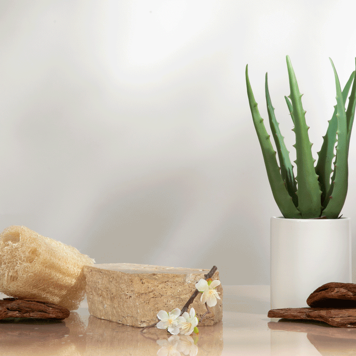 Shower Soap Bundle