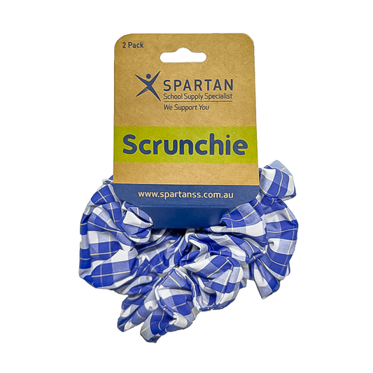 Summer Scrunchie - 2 Pack