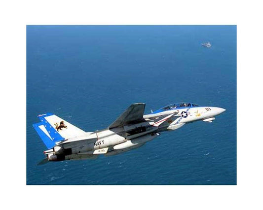 TAM61118	1/48 Grumman F-14D Tomcat