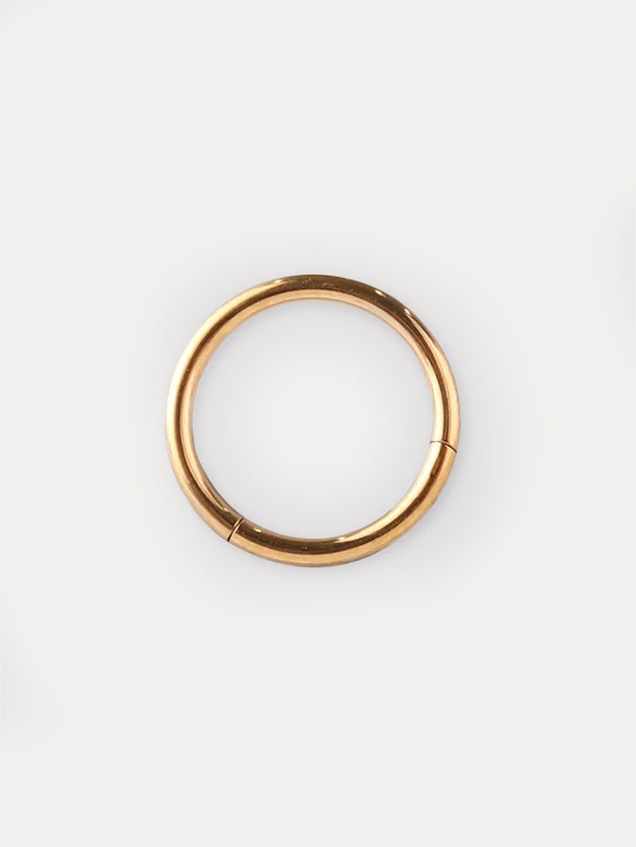 Titanium Plated Hinged Ring 18G | Gold-Image 1