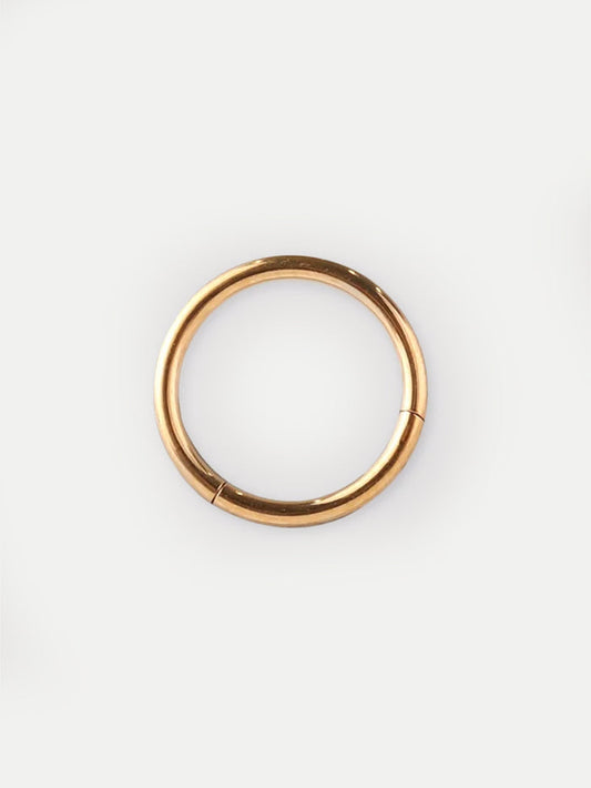 Titanium Plated Hinged Ring 18G | Gold-Image 1