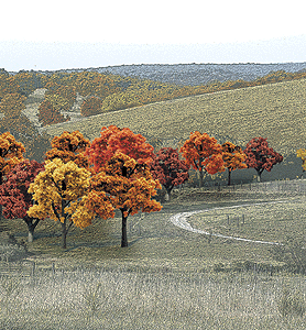 TR1575 Fall Deciduous Trees 3/4-2 (38)