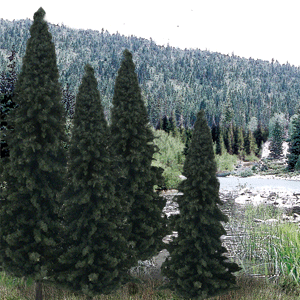 TR1586 Evergreen 4-6 (13)