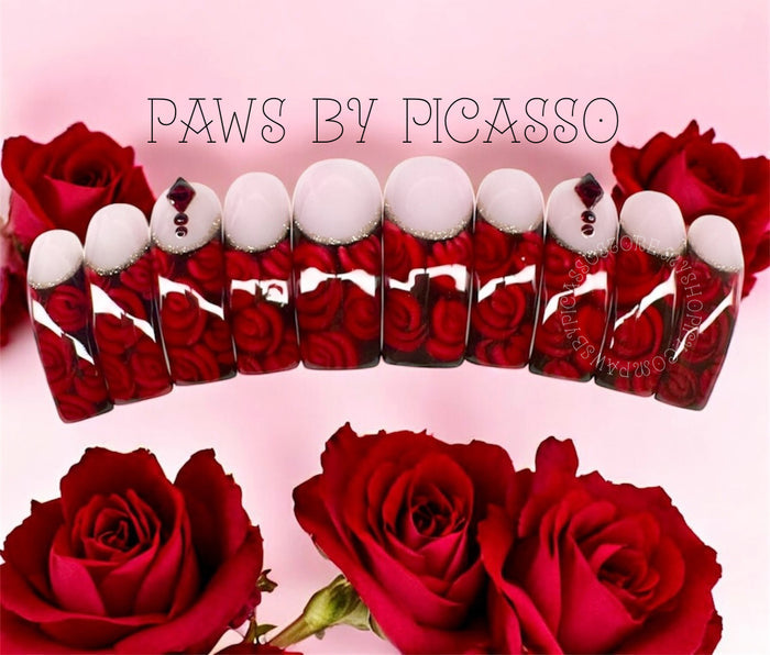 Ready to Ship Curvy nails - Paws By Picasso Ready to Ship Curvy nails