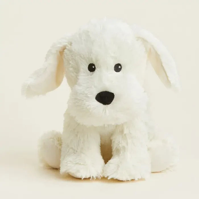 YELLOW LABRADOR