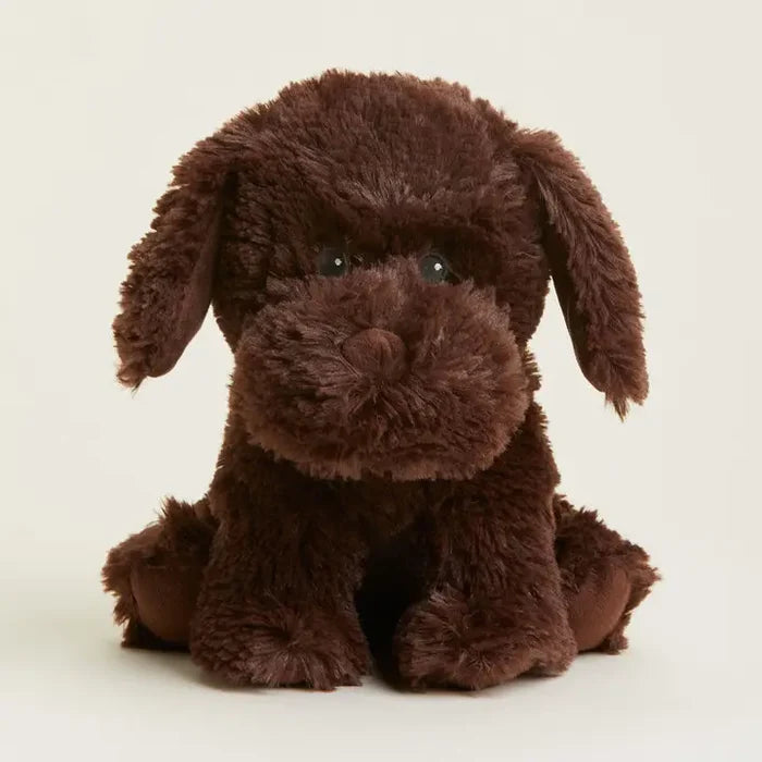 CHOCOLATE LABRADOR